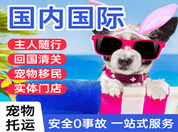 连城冠豸山机场邮寄国际宠物托运 【国